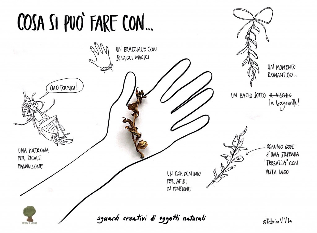 Sguardi creativi di oggetti naturali 1